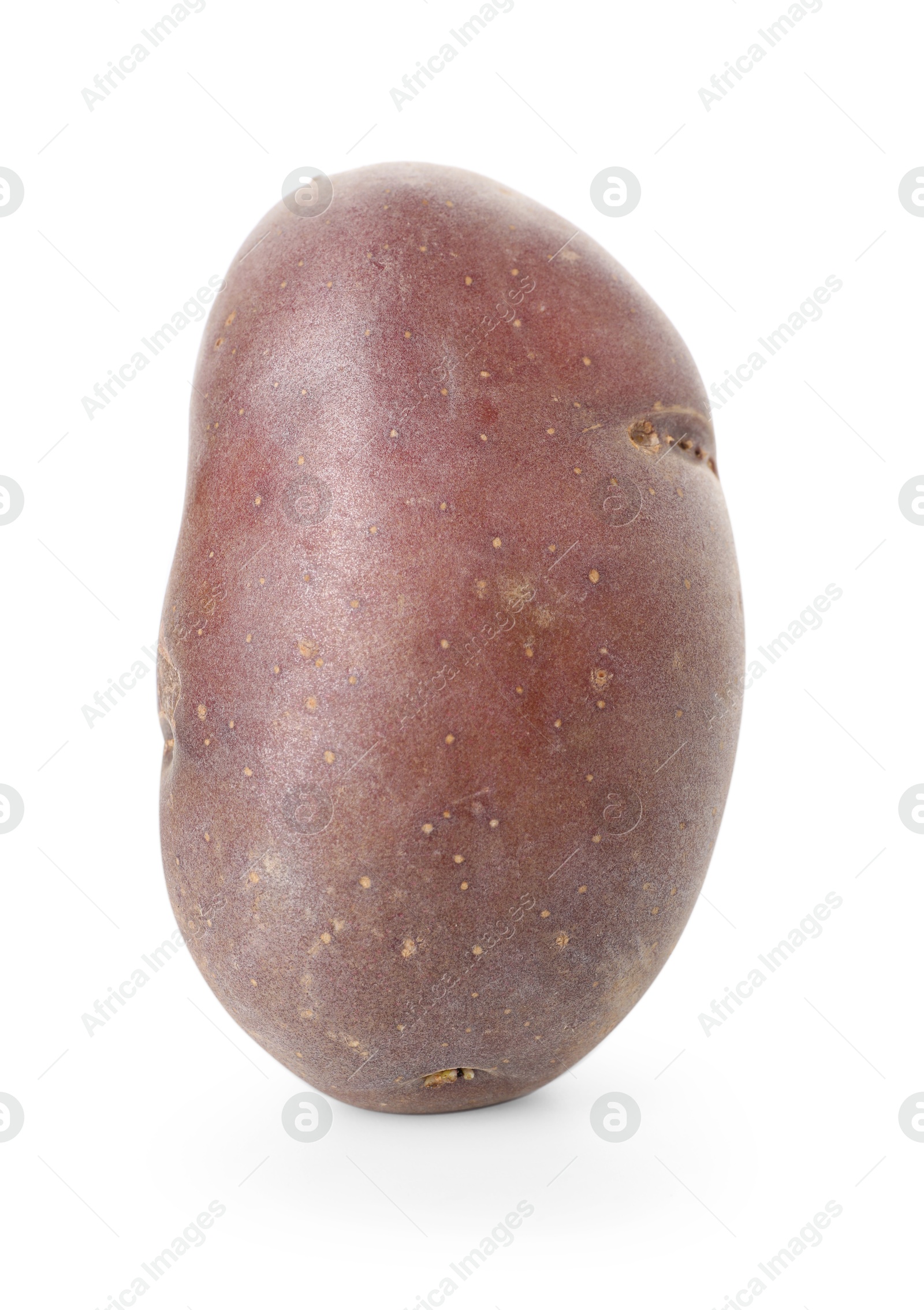 Photo of Fresh ripe red potato isolated on white