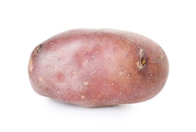Photo of Fresh ripe red potato isolated on white