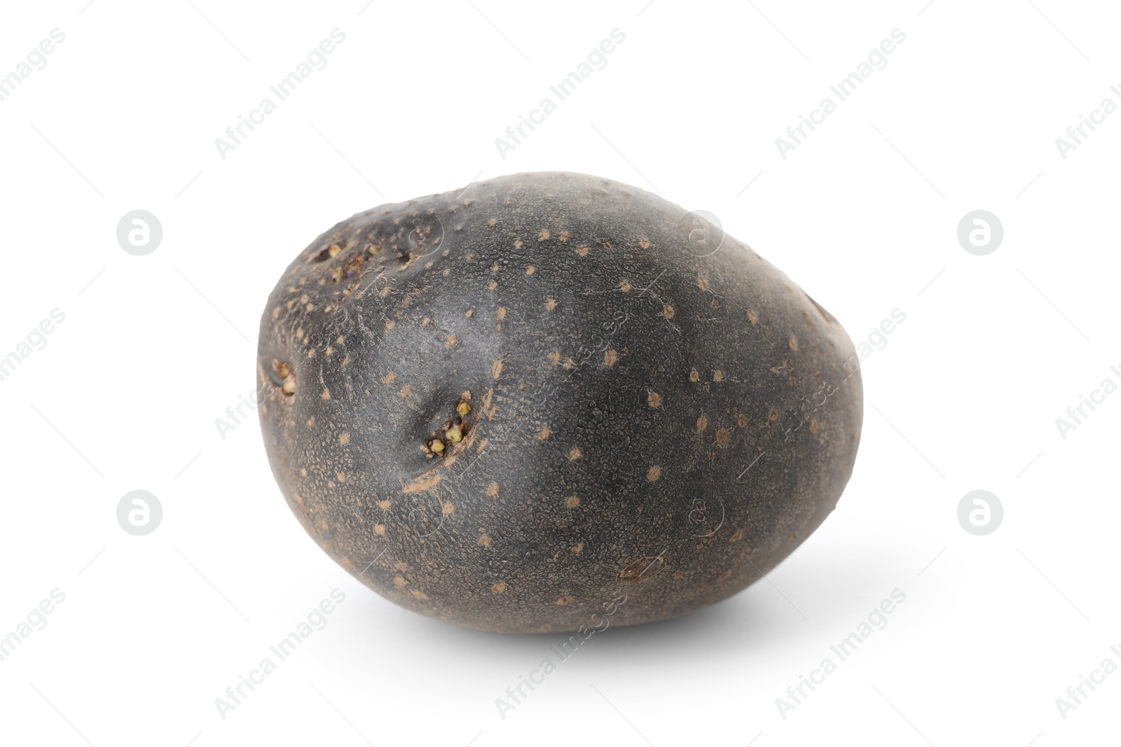 Photo of Fresh ripe purple potato isolated on white