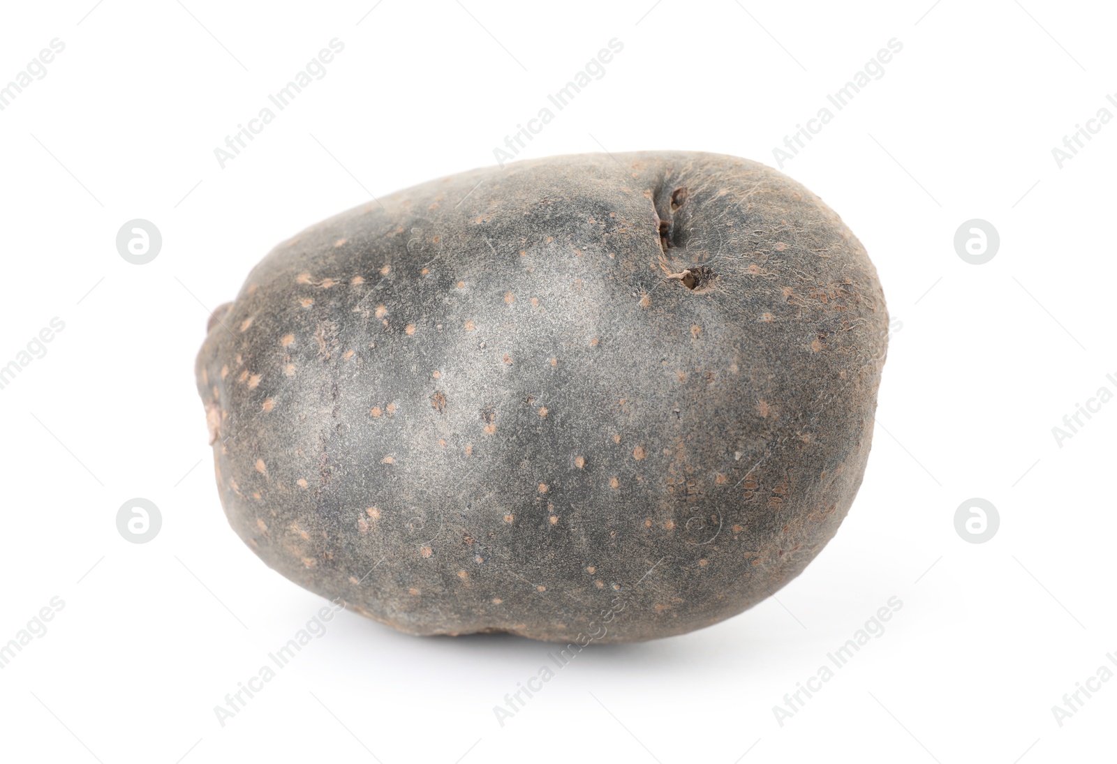 Photo of Fresh ripe purple potato isolated on white