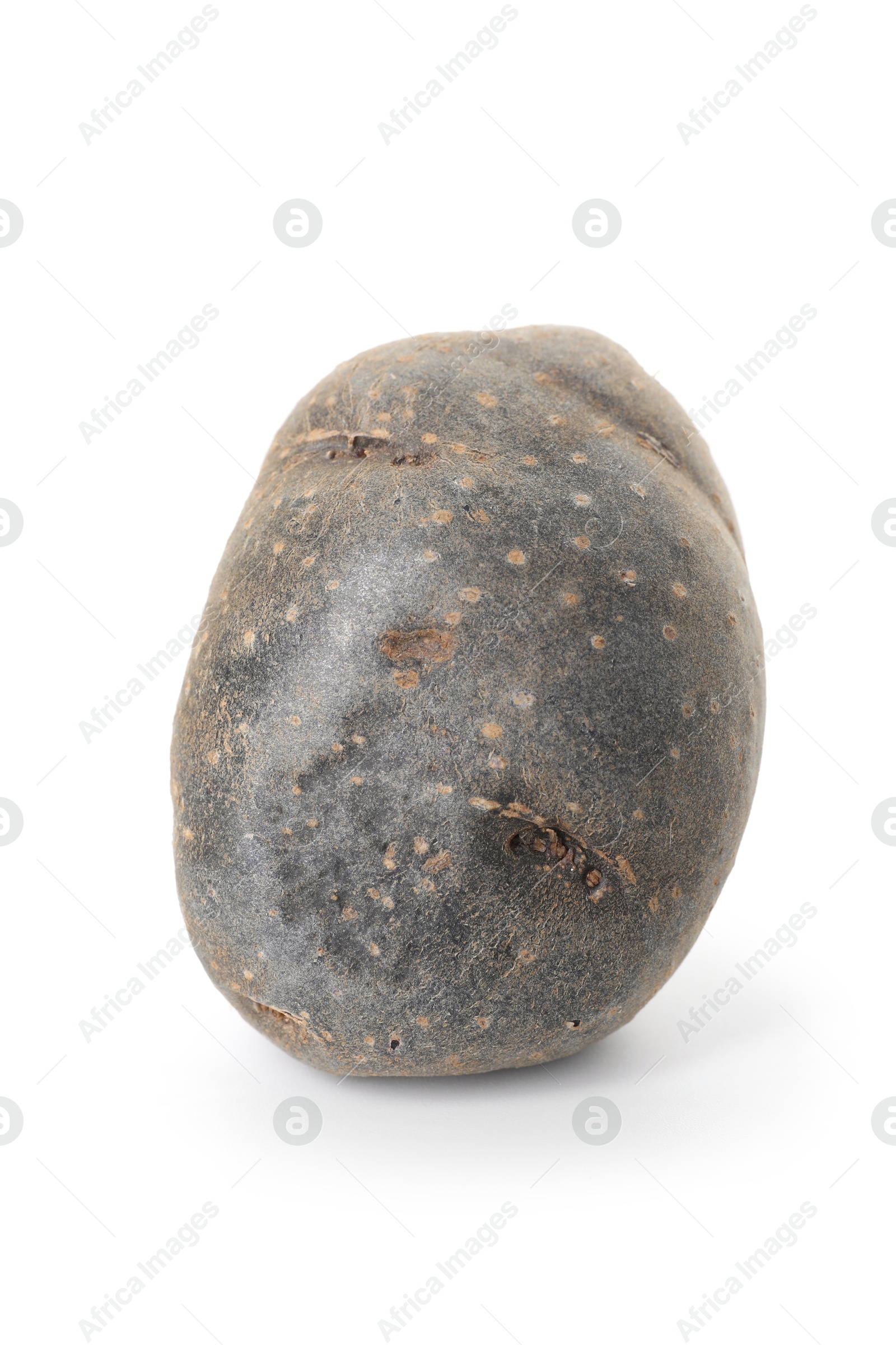 Photo of Fresh ripe purple potato isolated on white