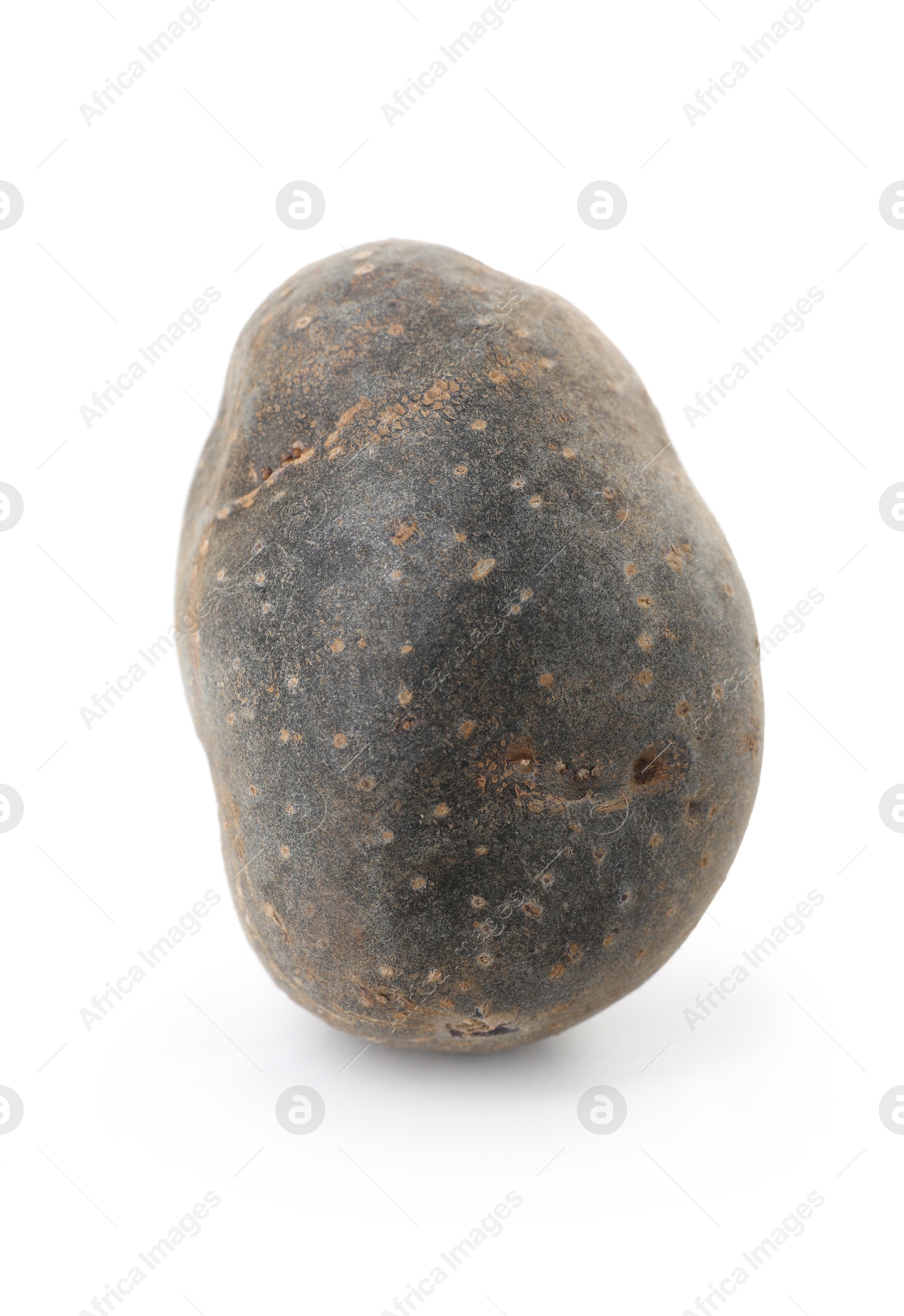 Photo of Fresh ripe purple potato isolated on white