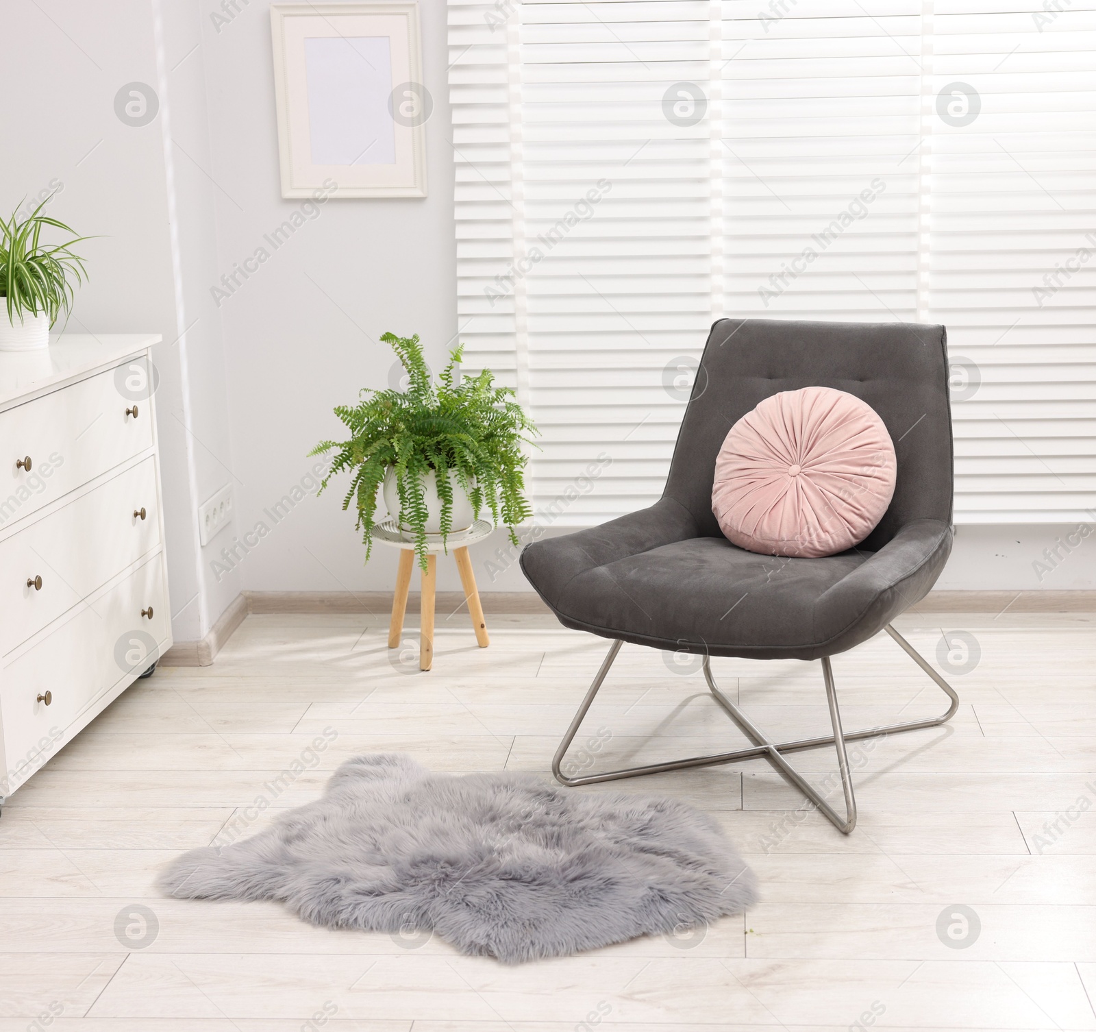 Soft armchair, cushion, rug and houseplant in light room. Interior design Photo of Soft armchair, cushion, rug and houseplant in light room. Interior design