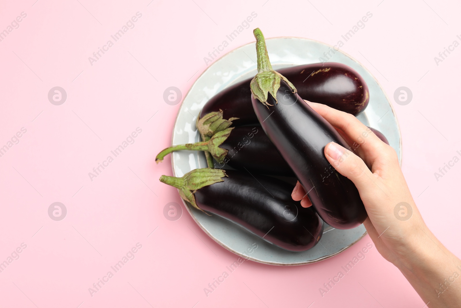 Woman holding fresh eggplant above plate with whole ones on pink background, top view. Space for text Photo of Woman holding fresh eggplant above plate with whole ones on pink background, top view. Space for text