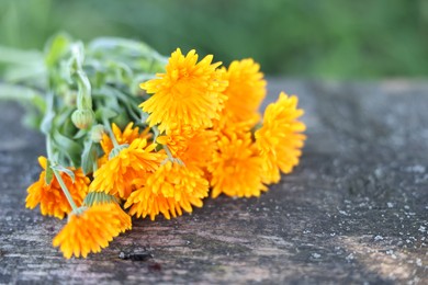 Photo of Beautiful orange Calendula flowers on wooden table outdoors, closeup