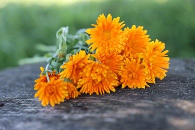 Photo of Beautiful orange Calendula flowers on wooden table outdoors, closeup