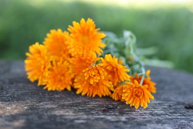 Photo of Beautiful orange Calendula flowers on wooden table outdoors, closeup