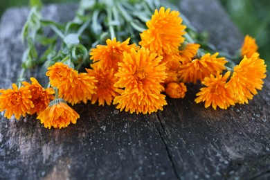 Photo of Beautiful orange Calendula flowers on wooden table outdoors, closeup