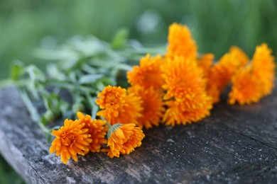 Photo of Beautiful orange Calendula flowers on wooden table outdoors, closeup