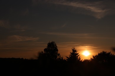 Photo of Picturesque view of trees under beautiful sky at sunset