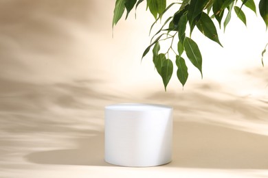 Photo of Promotion. Podium for product presentation and green leaves on beige background
