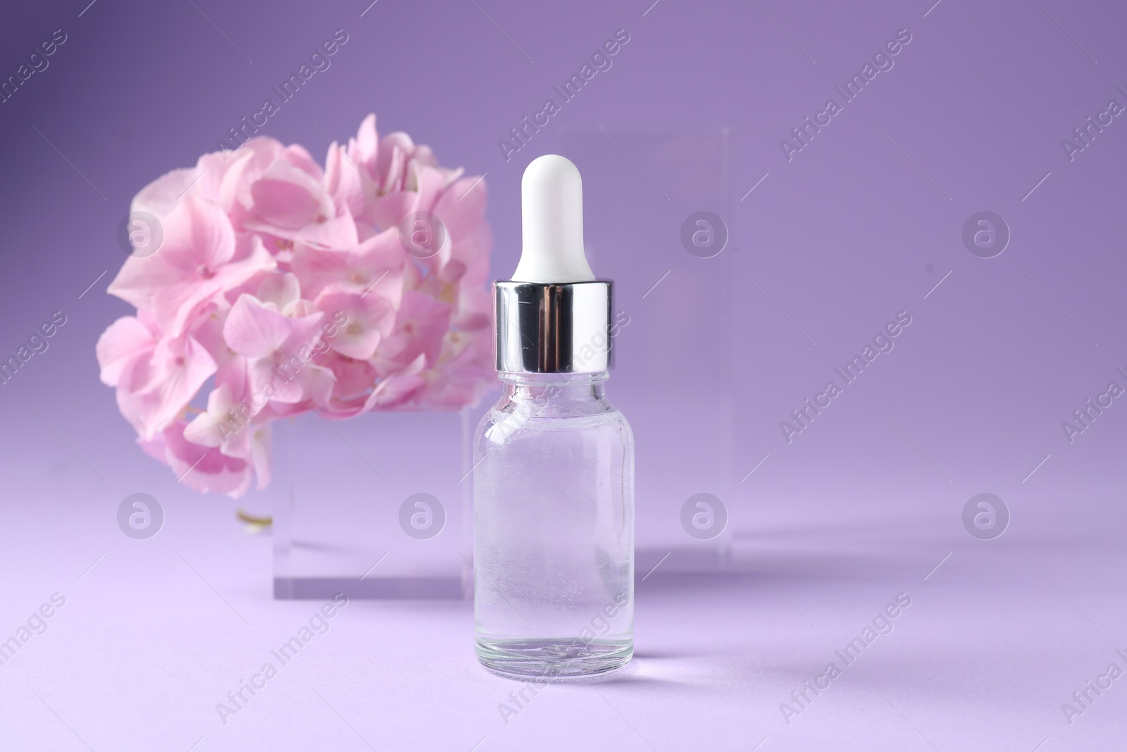 Promotion. Bottle of cosmetic product, glass podium and hydrangea flowers on violet background, closeup Photo of Promotion. Bottle of cosmetic product, glass podium and hydrangea flowers on violet background, closeup