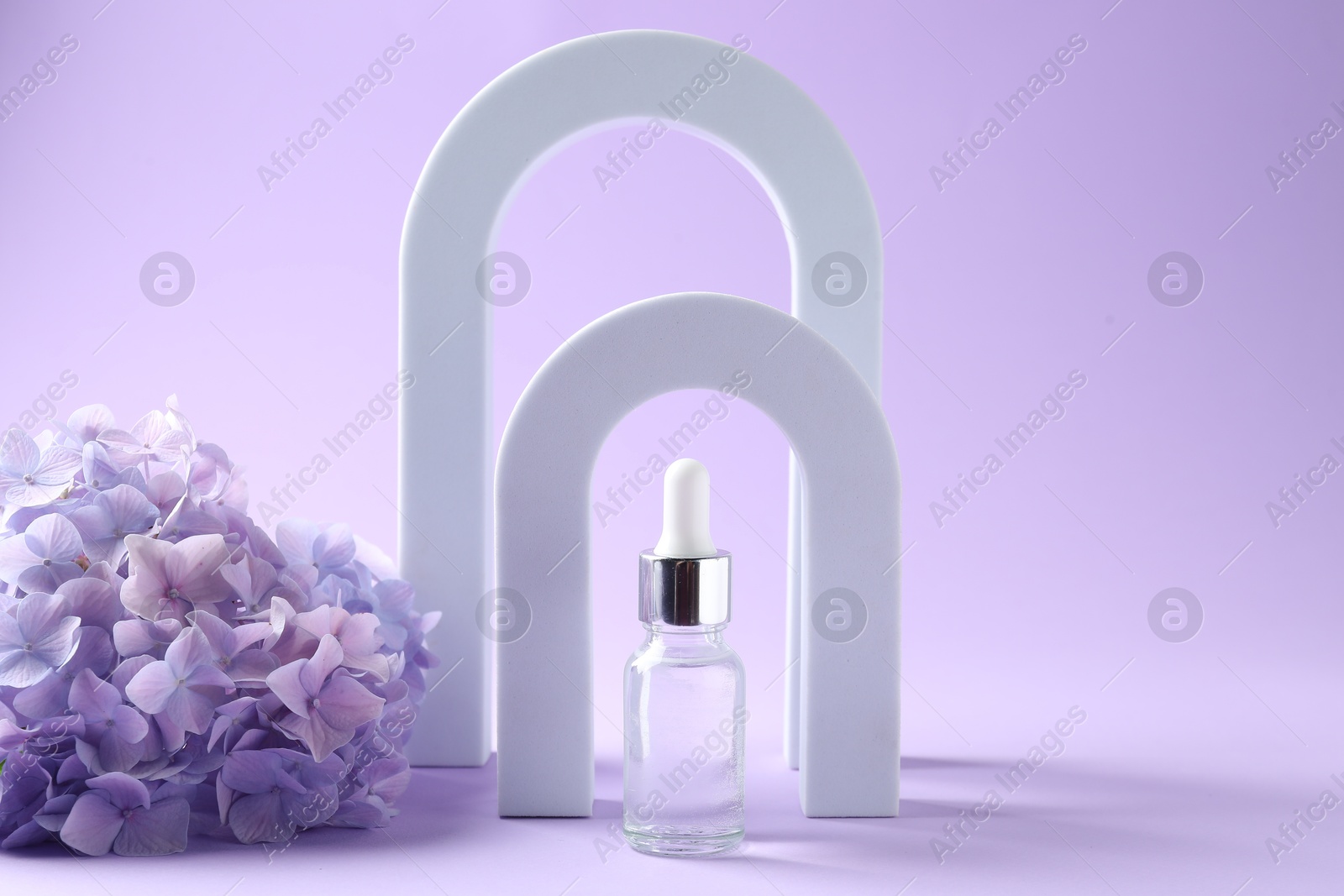 Promotion. Cosmetic product, podiums and hydrangea flowers on violet background Photo of Promotion. Cosmetic product, podiums and hydrangea flowers on violet background