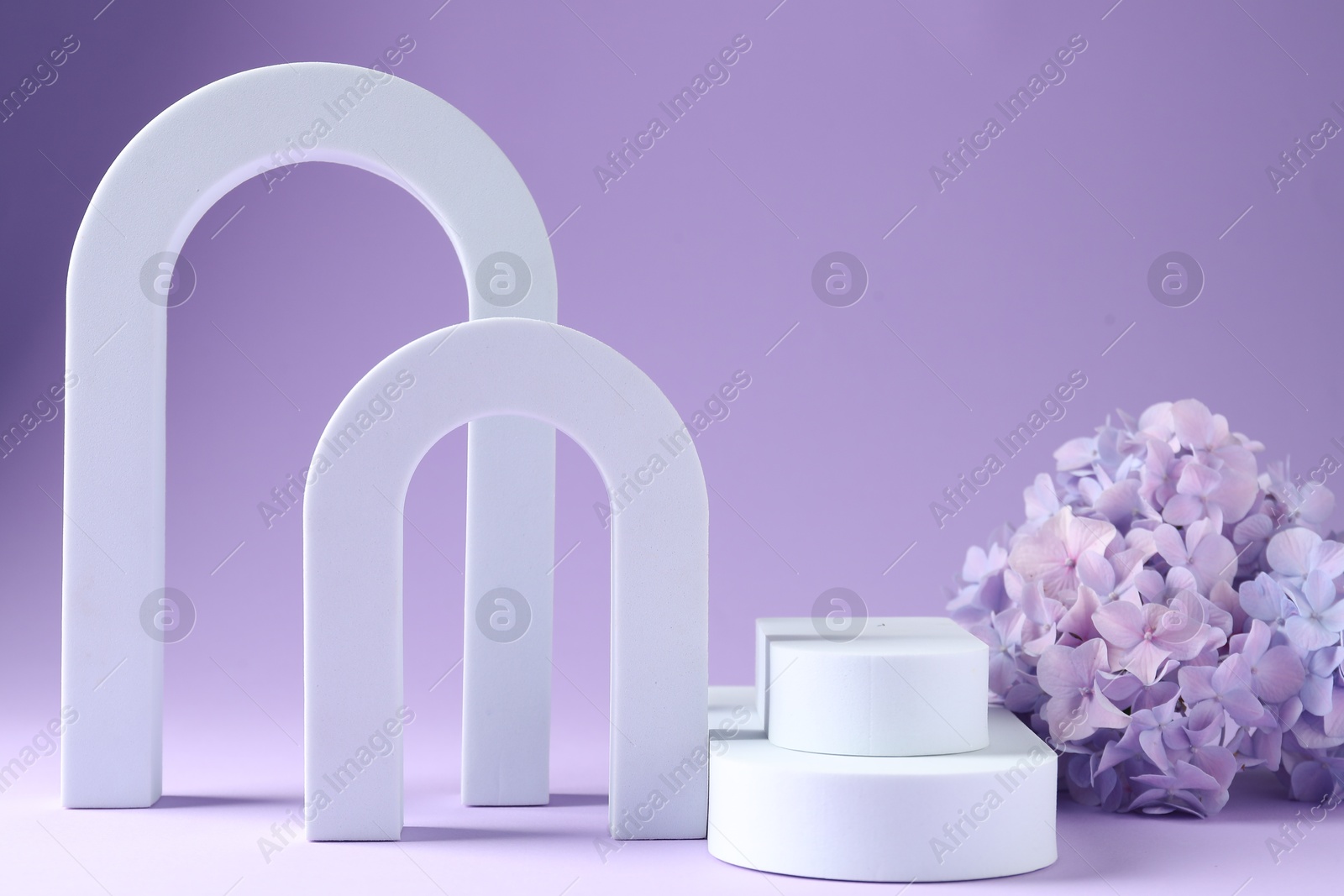 Promotion. Different podiums for product presentation and hydrangea flowers on violet background Photo of Promotion. Different podiums for product presentation and hydrangea flowers on violet background