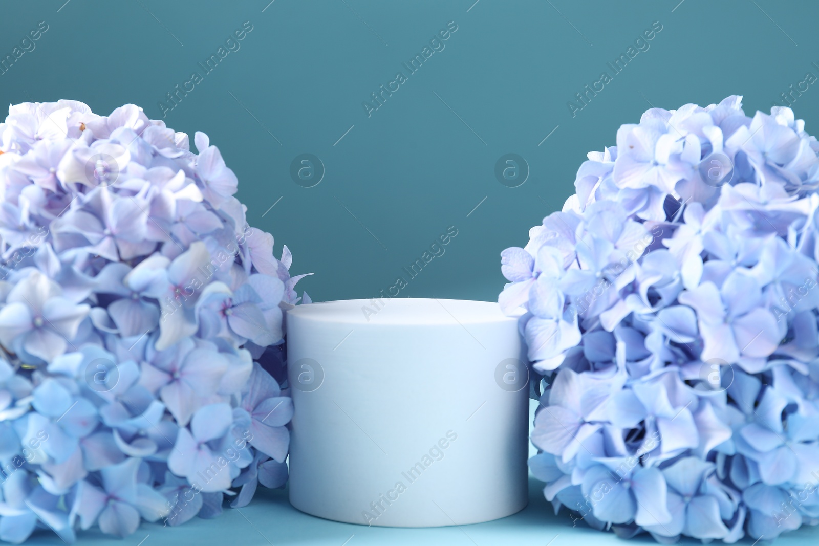 Promotion. Podium for product presentation and hydrangea flowers on light blue background, closeup Photo of Promotion. Podium for product presentation and hydrangea flowers on light blue background, closeup