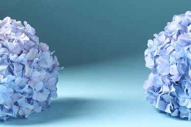 Photo of Promotion. Beautiful hydrangea flowers on light blue background, closeup. Space for text