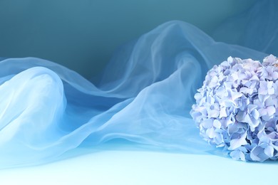 Photo of Promotion. Beautiful hydrangea flowers and tulle cloth on light blue background, closeup