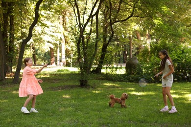 Photo of Cute little girls playing badminton in park. Dog looking at her owner