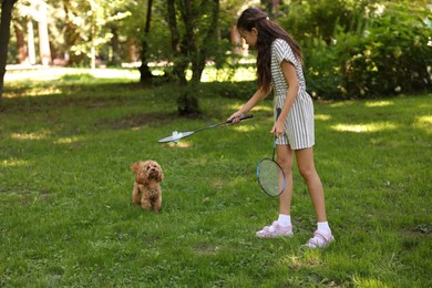 Photo of Cute little girl with badminton rackets and shuttlecock having fun with her dog in park