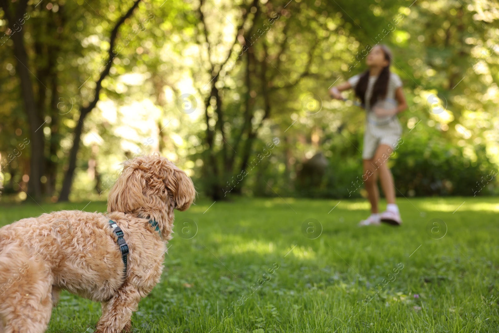 Little dog and girl in morning park, selective focus Photo of Little dog and girl in morning park, selective focus