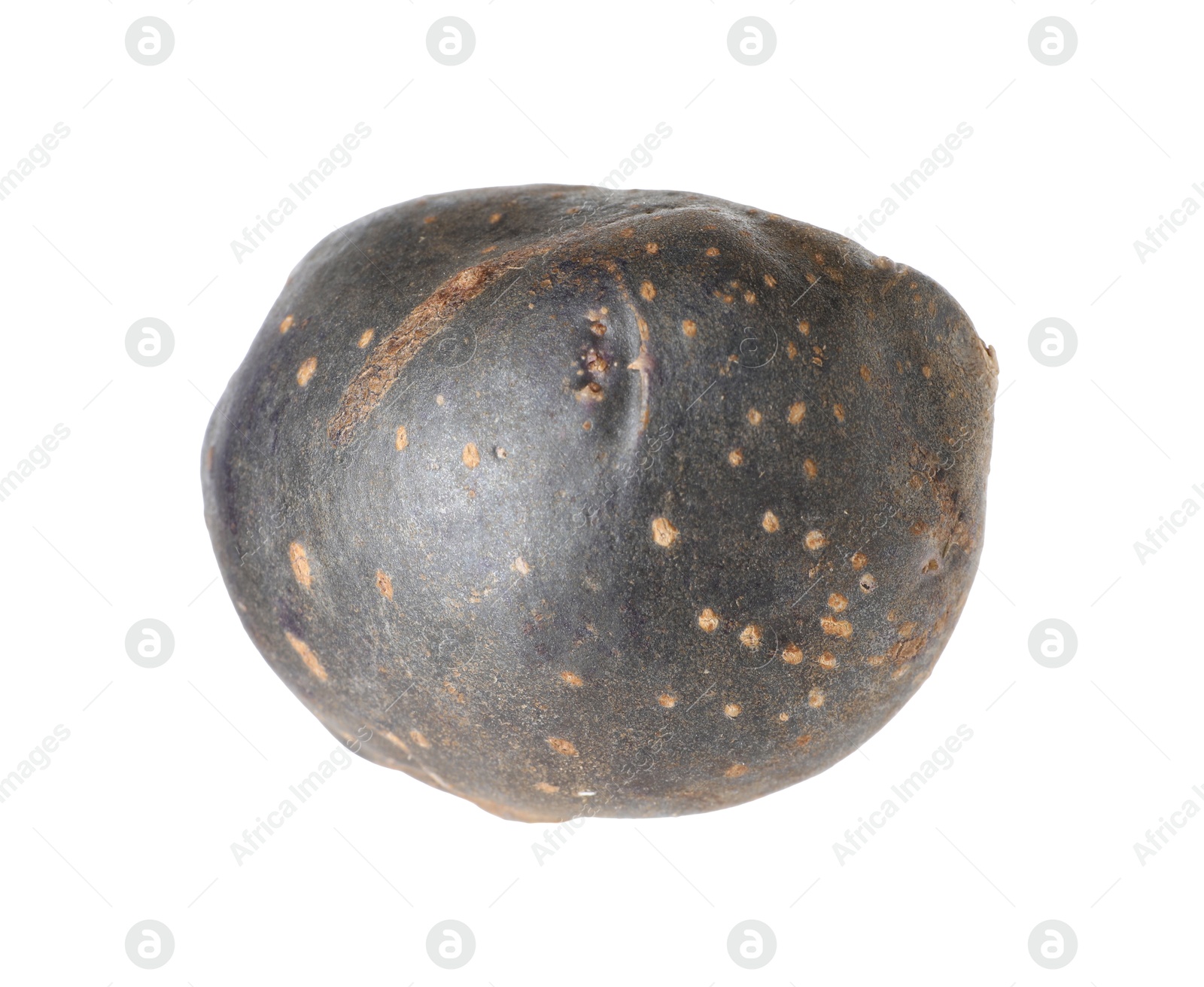 One whole purple potato isolated on white Photo of One whole purple potato isolated on white