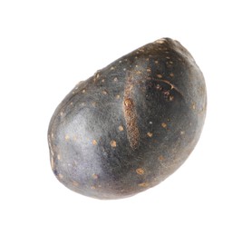Photo of One whole purple potato isolated on white