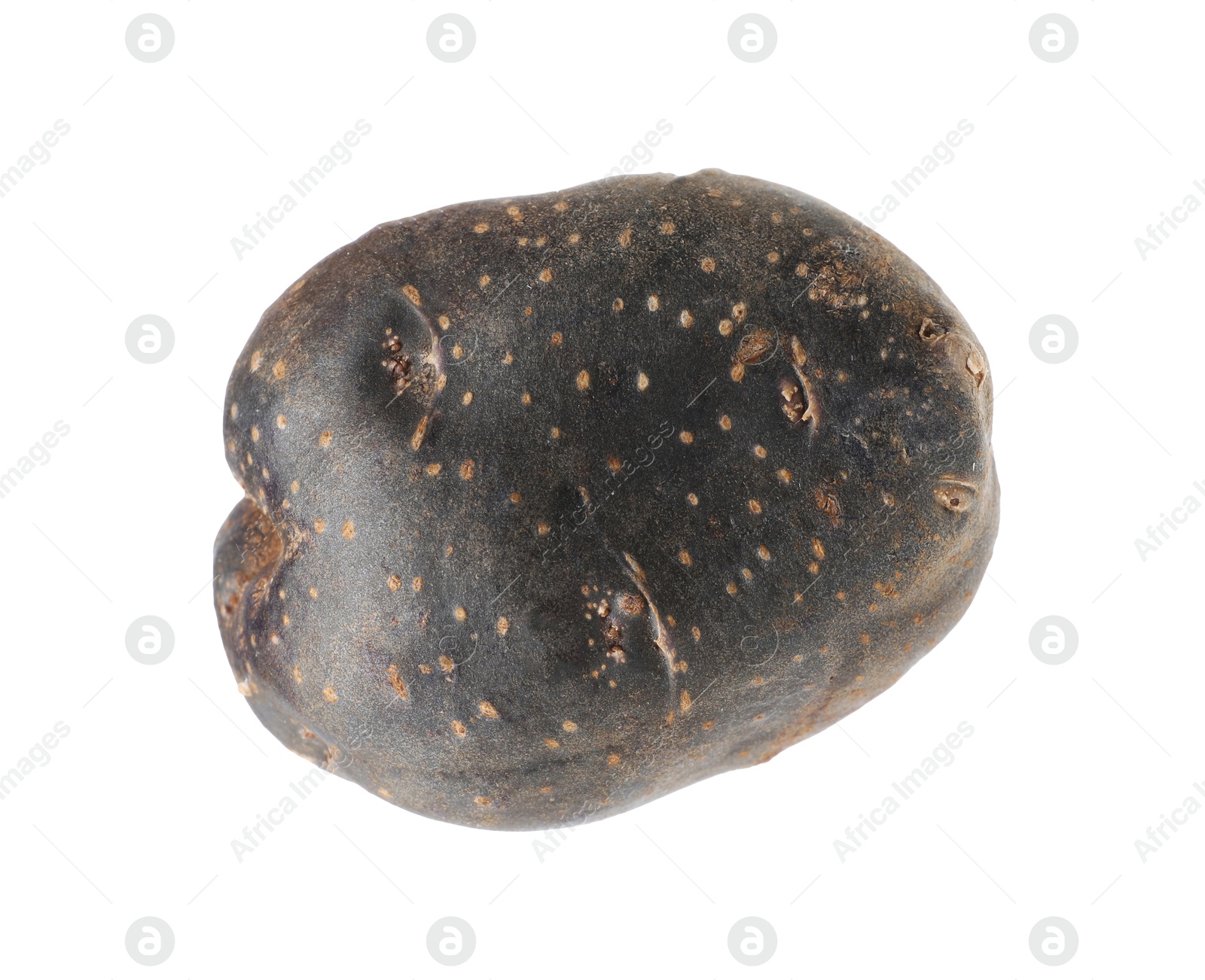 One whole purple potato isolated on white Photo of One whole purple potato isolated on white