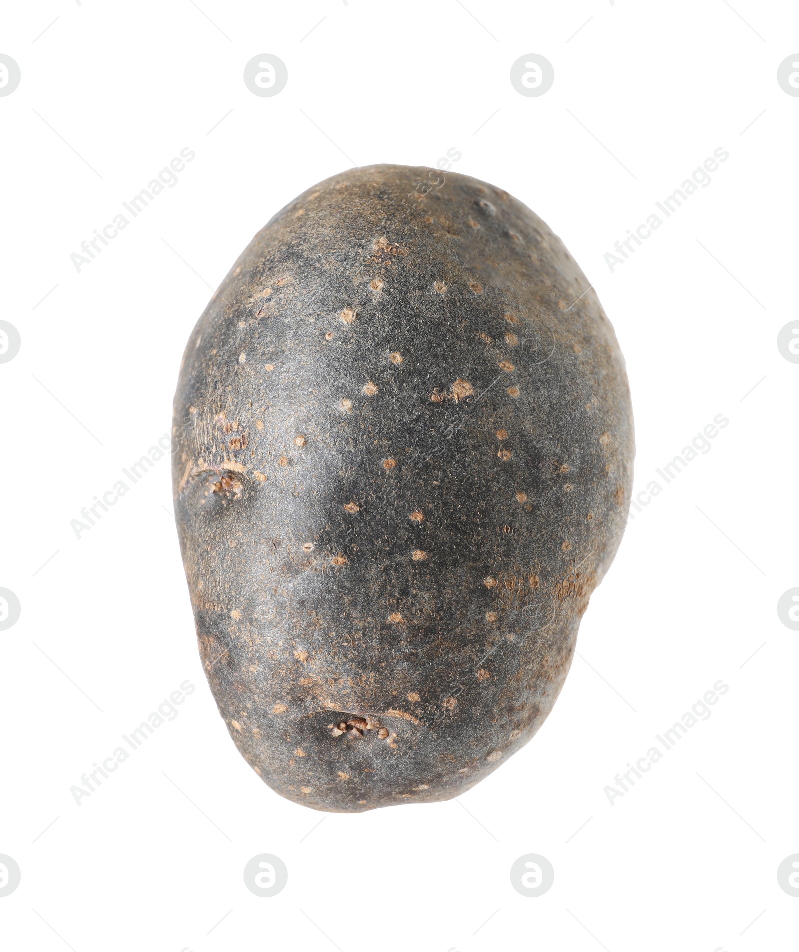 One whole purple potato isolated on white Photo of One whole purple potato isolated on white