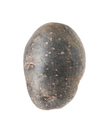 Photo of One whole purple potato isolated on white