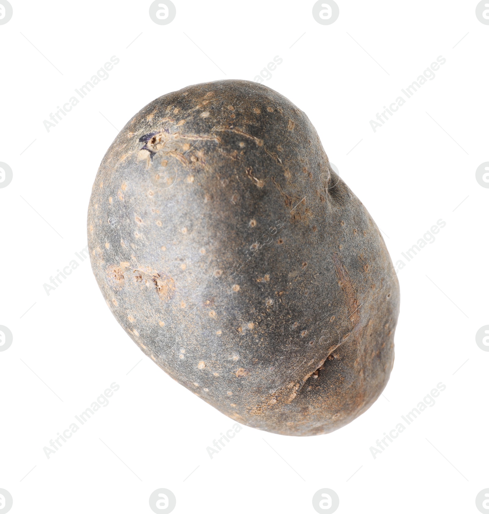One whole purple potato isolated on white Photo of One whole purple potato isolated on white