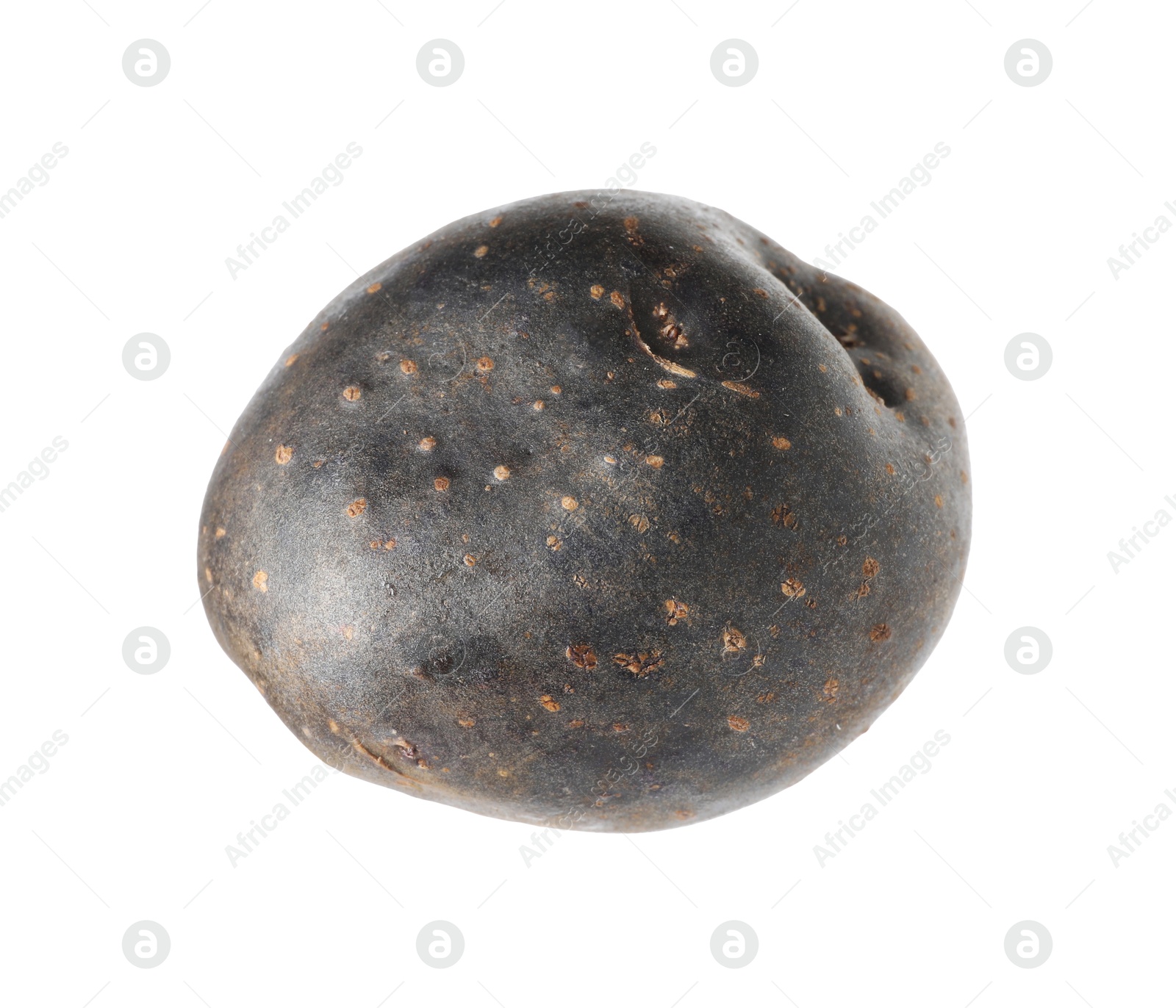 One whole purple potato isolated on white Photo of One whole purple potato isolated on white