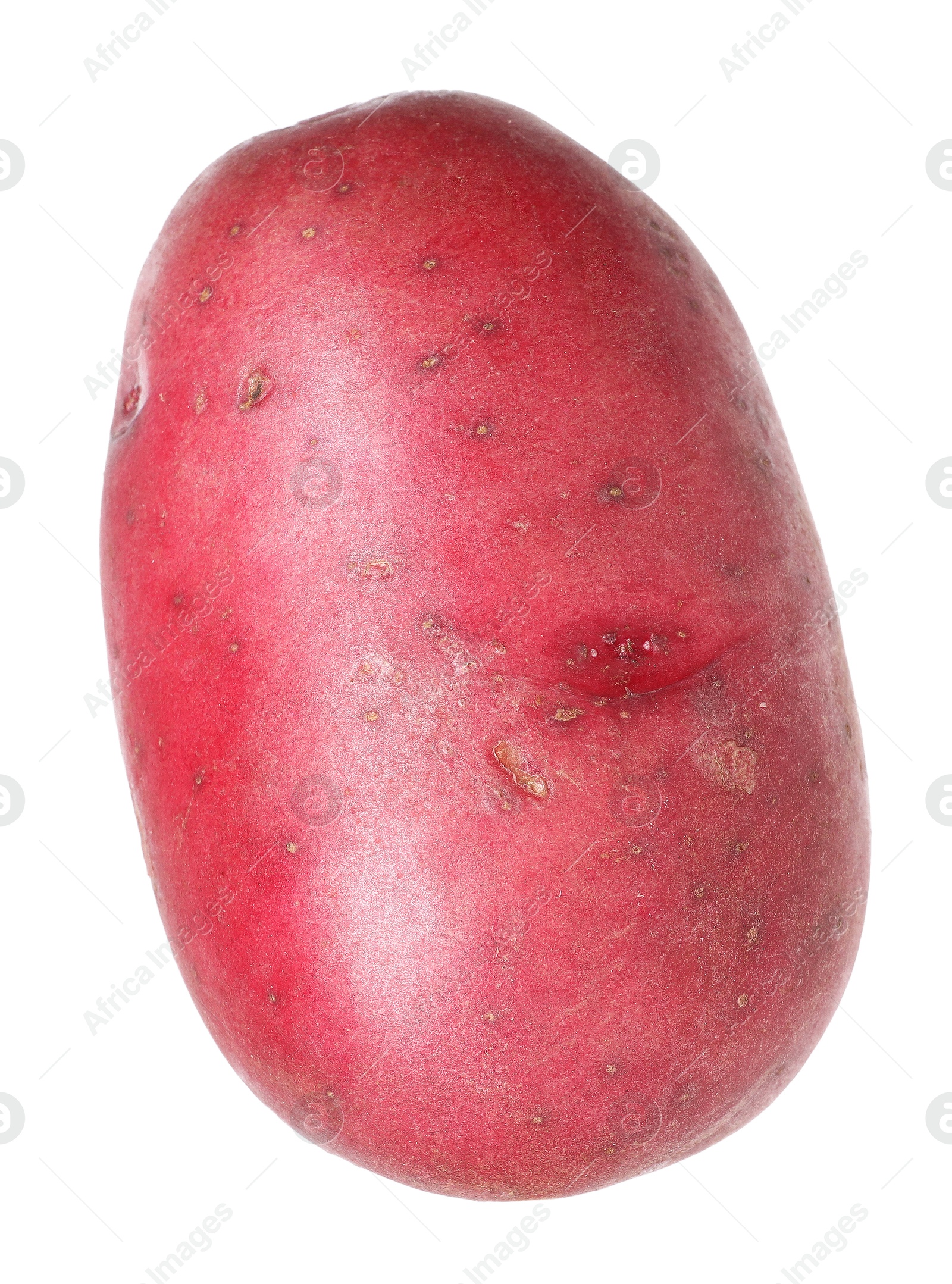 One whole red potato isolated on white Photo of One whole red potato isolated on white