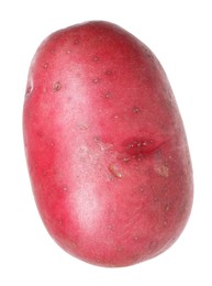 Photo of One whole red potato isolated on white
