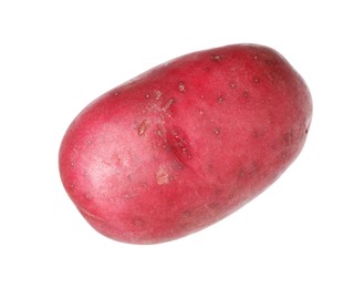 Photo of One whole red potato isolated on white