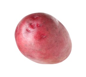 Photo of One whole red potato isolated on white