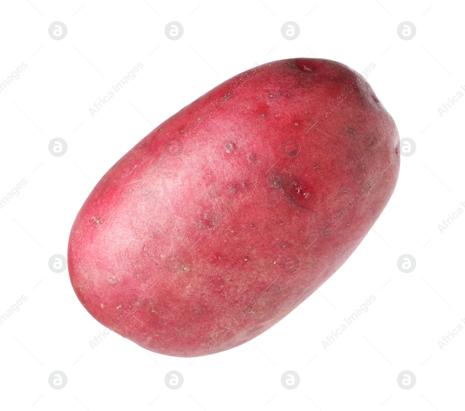 One whole red potato isolated on white Photo of One whole red potato isolated on white
