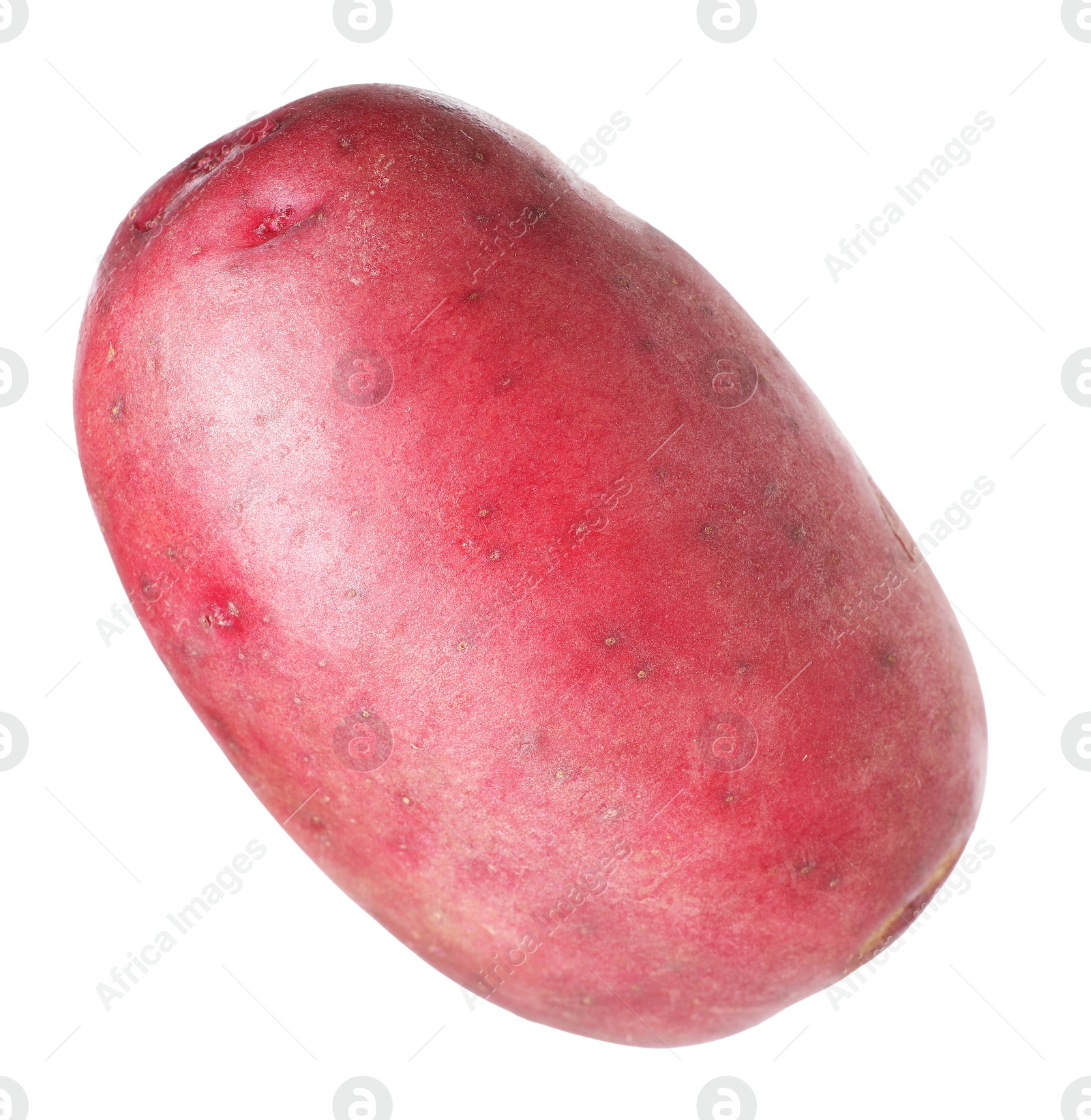 One whole red potato isolated on white Photo of One whole red potato isolated on white