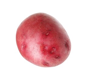 Photo of One whole red potato isolated on white