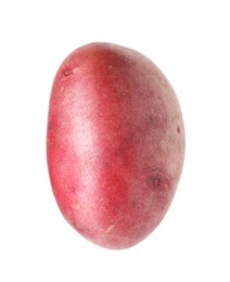 Photo of One whole red potato isolated on white