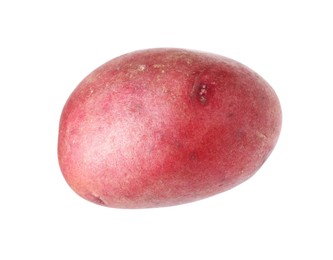 Photo of One whole red potato isolated on white