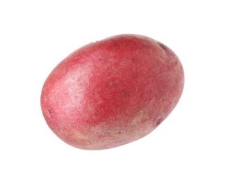 Photo of One whole red potato isolated on white