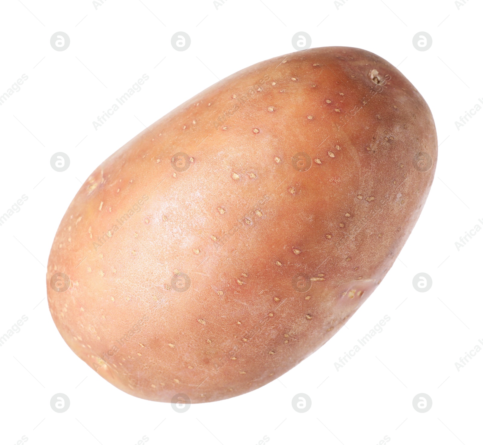 One whole ripe potato isolated on white Photo of One whole ripe potato isolated on white