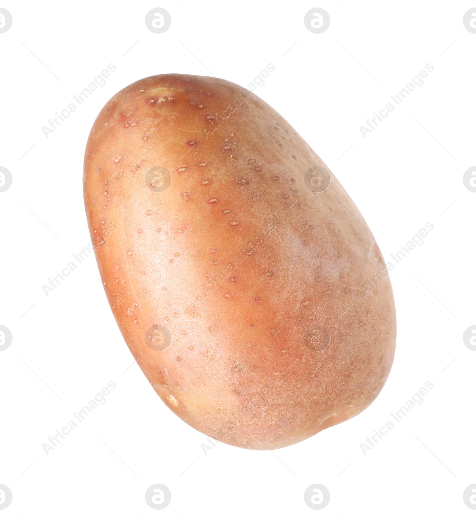 One whole ripe potato isolated on white Photo of One whole ripe potato isolated on white
