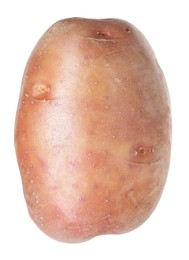 Photo of One whole ripe potato isolated on white