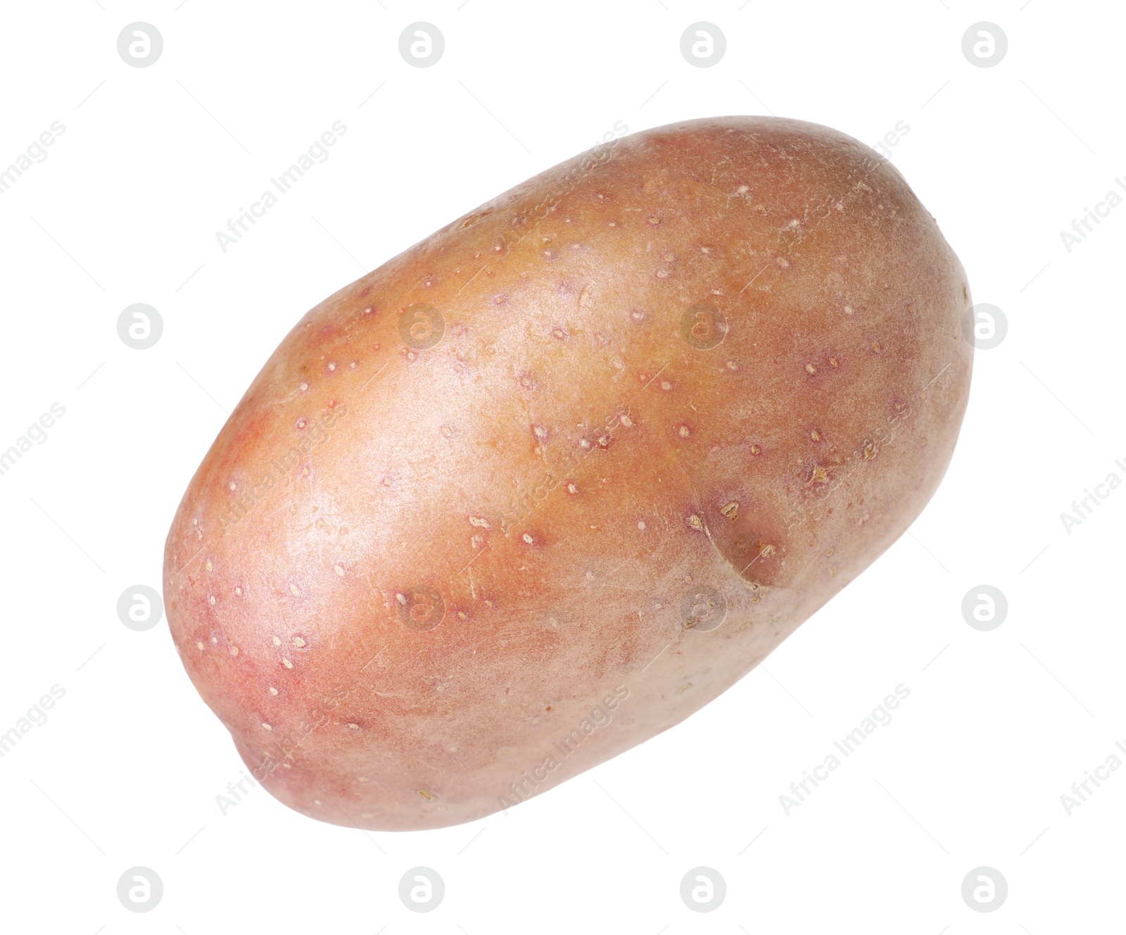 One whole ripe potato isolated on white Photo of One whole ripe potato isolated on white