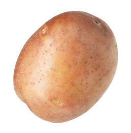 Photo of One whole ripe potato isolated on white