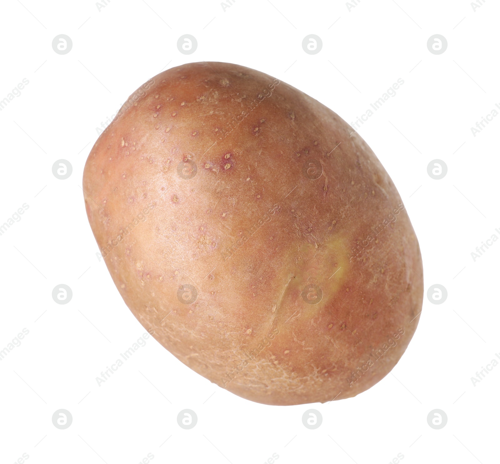 One whole ripe potato isolated on white Photo of One whole ripe potato isolated on white