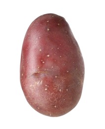 Photo of One whole red potato isolated on white
