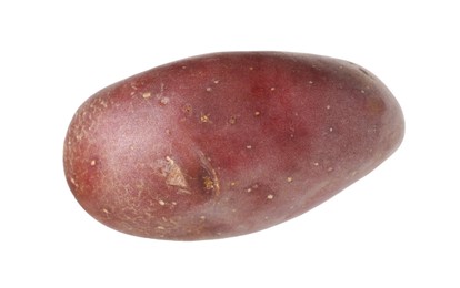 Photo of One whole red potato isolated on white