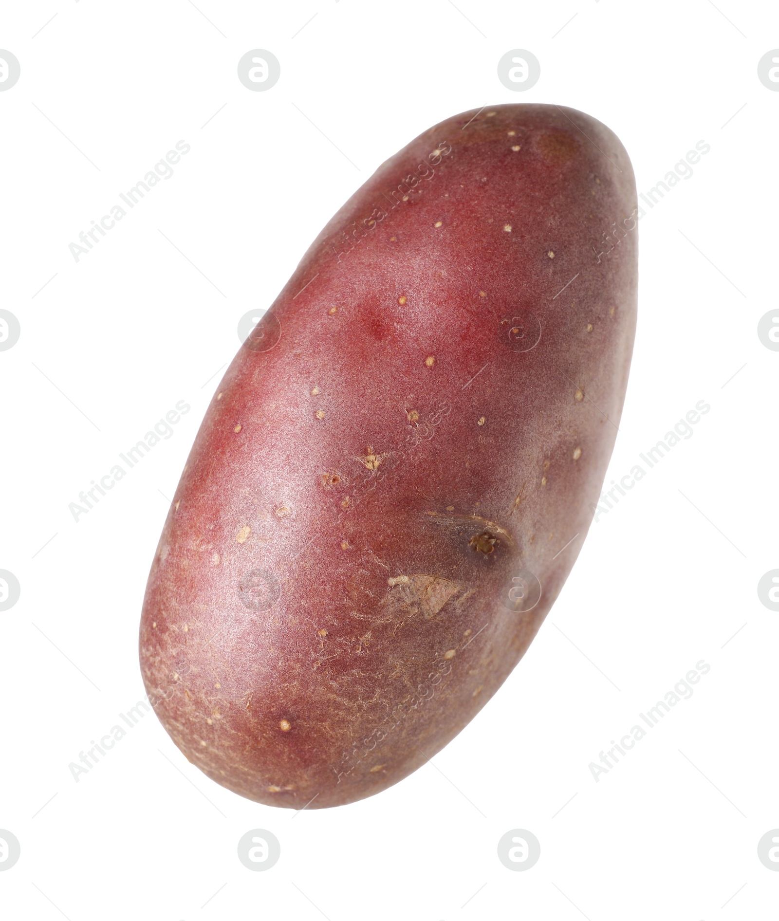 One whole red potato isolated on white Photo of One whole red potato isolated on white